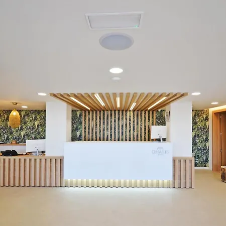 Ohasis Boutique Lägenhetshotell Arona (Tenerife)